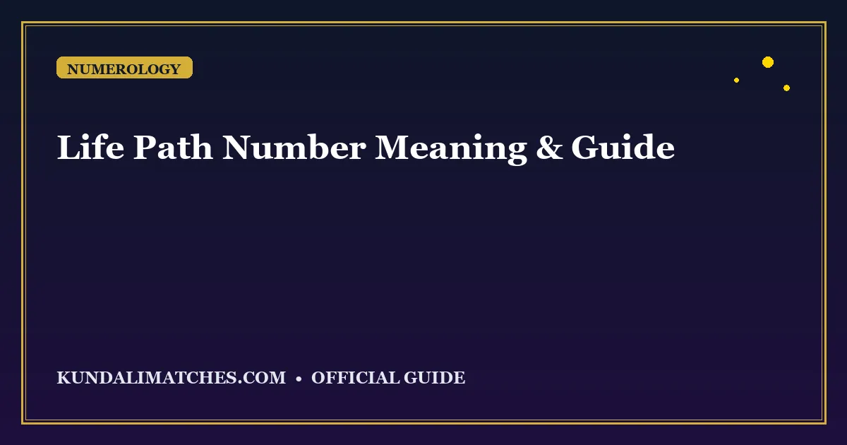 Life Path Number: Complete Guide to Numerology Meaning